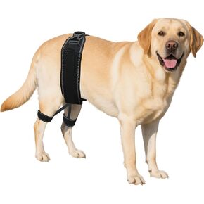 Dog Hip Orthotics Brace, Dog Hip Dysplasia Brace, Support for Hip Dysplasia, Arthritis, Luxating Patella, Back Leg limping, Relieve Hip Pain and Orthodontic Assistance - Large in Saudi Arabia