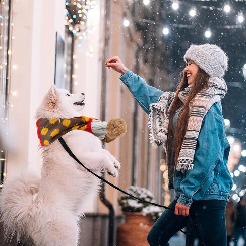 Aliceset 2 Pcs Dog Christmas Knitted Scarf Pet Scarf Dog Winter Warm Scarves with Cute Pompom Xmas Holiday Puppy Knit Scarves for Small Medium Pet Puppy Cat New Year Party(Red, Green,Hairball) in Saudi Arabia