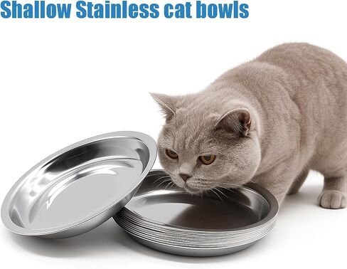 4 Pcs Stainless Steel Cat Bowls 6.4 Inch Shallow Wide Food Bowls, Whisker Relief Cat Water Dish for Kitten Puppy Small Dog (4 Pcs) in Saudi Arabia