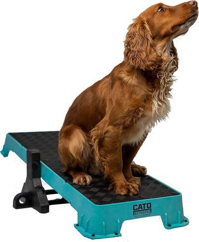Cato Board XL - Dog Platform (Purple, Without Tilt Stand) in Saudi Arabia
