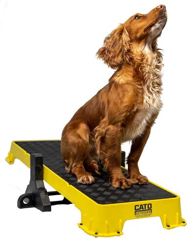 Cato Board XL - Dog Platform (Purple, Without Tilt Stand) in Saudi Arabia