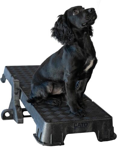 Cato Board XL - Dog Platform (Purple, Without Tilt Stand) in Saudi Arabia