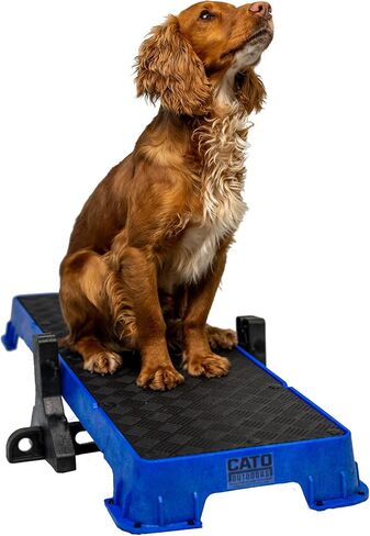 Cato Board XL - Dog Platform (Purple, Without Tilt Stand) in Saudi Arabia