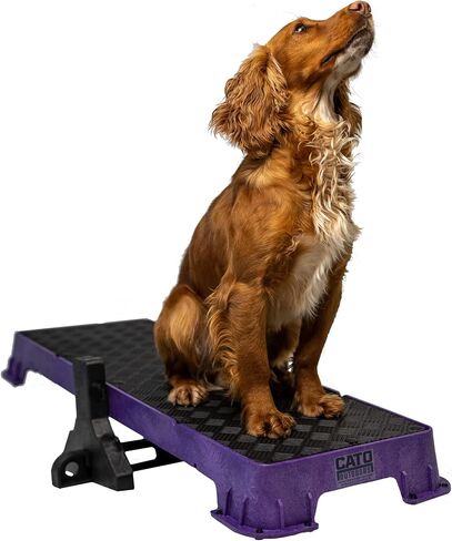 Cato Board XL - Dog Platform (Purple, Without Tilt Stand) in Saudi Arabia