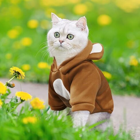 كلب صغير هوديي لينة الدافئة الصوف الخريف الشتاء الكلب الملابس لطيف جرو البلوزات القط معطف مضحك البلوز فارغة هزلي مقنعين بلوزات للكلاب الصغيرة تشيهواهوا الأزياء هريرة الملابس (البني، S) in Kuwait