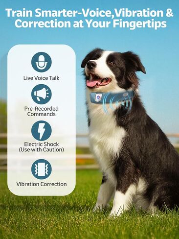 Wireless Dog Fence System, GPS Dog Fence Collar with 2K Camera, Live Video & Recording, Virtual Fence, GPS Tracker, Two-Way Audio, Waterproof, 5-Day Battery, for Medium & Large Dogs in Saudi Arabia