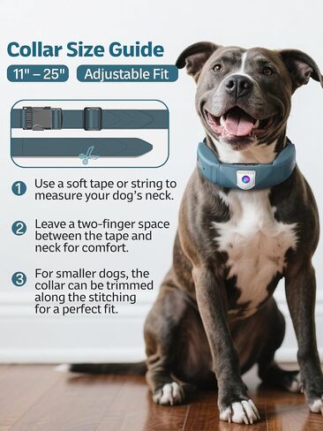 Wireless Dog Fence System, GPS Dog Fence Collar with 2K Camera, Live Video & Recording, Virtual Fence, GPS Tracker, Two-Way Audio, Waterproof, 5-Day Battery, for Medium & Large Dogs in Saudi Arabia