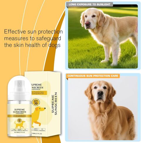 رذاذ واقي من الشمس للكلاب بعامل حماية من الشمس SPF 30 - مقاوم للماء، حماية من الأشعة فوق البنفسجية للأذنين والأنف والكفوف - غني بفيتامين E، واسع الطيف - معدات تخييم الكلاب - واقي شمسي لطيف للكلاب البيضاء in Saudi Arabia
