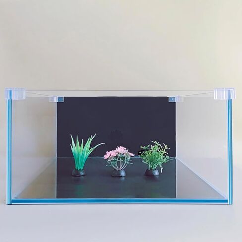 3.5 Gallon Fish Tank 30 * 30 * 15CM- Low Iron Glass Aquarium with Non-Slip Mat, Background Paper & Corner Protectors | Betta, Turtle, Shrimp Habitat Kit | Beginner Friendly Small Aquarium in Saudi Arabia