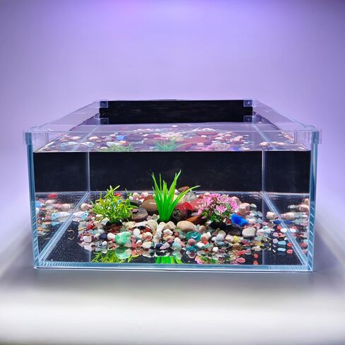 3.5 Gallon Fish Tank 30 * 30 * 15CM- Low Iron Glass Aquarium with Non-Slip Mat, Background Paper & Corner Protectors | Betta, Turtle, Shrimp Habitat Kit | Beginner Friendly Small Aquarium in Saudi Arabia