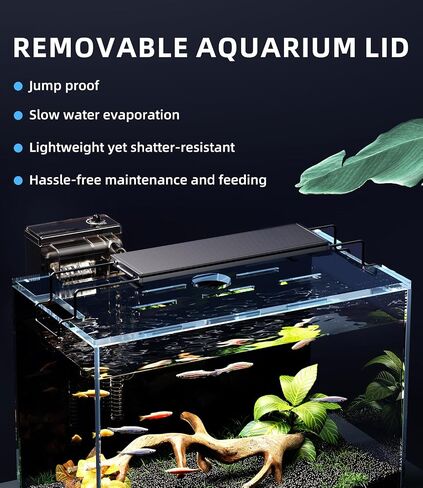 5 Gallon Fish Tank Aquarium Kit with Filter, Heater, LED Light with Timer, Siphon Vacuum Cleaner, Lid, Self-Cleaning Glass Rimless Betta Tank in Saudi Arabia