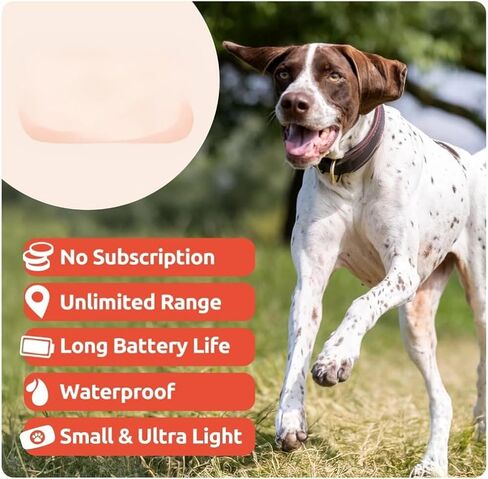 Cat dogTracker GPS，Bluetooth Tracker, Waterproof No Monthly Fee Advanced Tracking Solution Smart Collar for Pet Safety Ideal Small Large Cats Phone Finder. Both iOS and Android Compatible. in Saudi Arabia