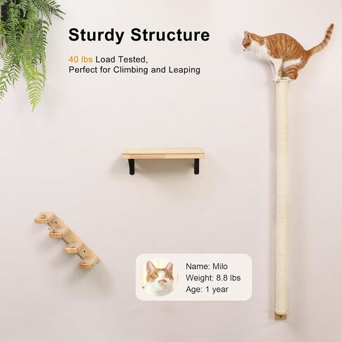 Fukumaru Cat Wall Scratcher ، 28 بوصة مثبتة على الحائط من الخدش ، شجرة تسلق سيزال قوية للقطط الداخلية in Kuwait