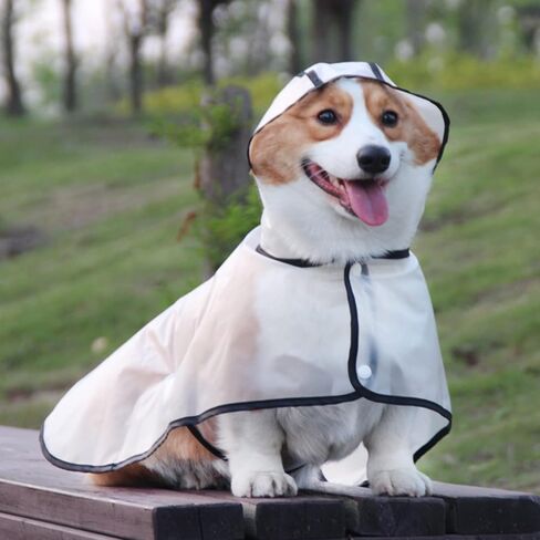 Portable Waterproof Transparent Dog Raincoat, Light Breathable Hooded Rain Jacket for Small, Medium, and Large Dogs, Puppy Rain Poncho Cape, Dog Raincoats for Small Dogs, Puppy Raincoat(M) in Saudi Arabia