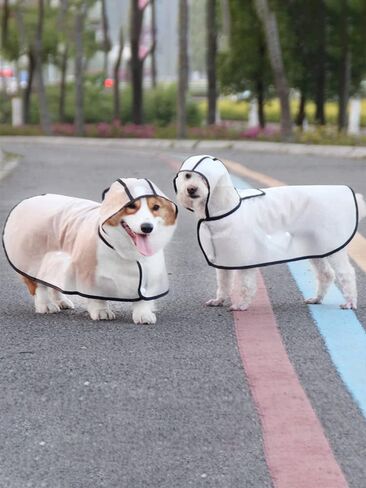 Portable Waterproof Transparent Dog Raincoat, Light Breathable Hooded Rain Jacket for Small, Medium, and Large Dogs, Puppy Rain Poncho Cape, Dog Raincoats for Small Dogs, Puppy Raincoat(M) in Saudi Arabia