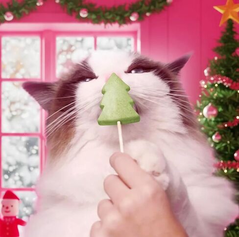 Bonkers Purrpops Limited Edition Christmas Themed Chicken Flavor Freeze-Dried Licks Cat Treats Catnip & Turkey Flavor - 5 Pack with Cat Spring Toys Bundle Pack in Saudi Arabia