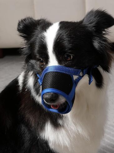 Dog Muzzle Cover for Large Dogs, Adjustable Nylon Muzzle with Soft Padding, Breathable Mesh, and Hook & Loop Straps for Comfort and Safety, Blue, L in Saudi Arabia