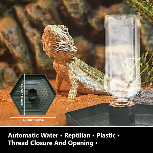 Bearded Dragon Accessories, Beardie Tank Accessories, 12 Packs Reptile Feeding & Watering Tool Set for Gecko Lizard and Small Animal in Saudi Arabia