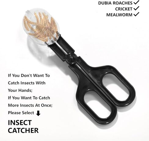 Bearded Dragon Accessories, Beardie Tank Accessories, 12 Packs Reptile Feeding & Watering Tool Set for Gecko Lizard and Small Animal in Saudi Arabia