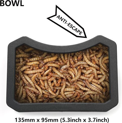 Bearded Dragon Accessories, Beardie Tank Accessories, 12 Packs Reptile Feeding & Watering Tool Set for Gecko Lizard and Small Animal in Saudi Arabia