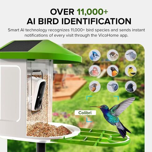 وحدة التغذية الذكية التي تعمل بالطاقة الشمسية من Birvio™ مع كاميرا عالية الدقة 1080 بكسل - بث مباشر عبر WiFi، ومعرف الطيور بالذكاء الاصطناعي، وتنبيهات فورية، وإعداد سهل لمشاهدة الحياة البرية في الهواء الطلق in Saudi Arabia