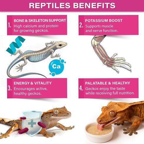'Picky Geck' Growth - Premium Crested Gecko Food | High-Protein Fruit Formula for Bone & Muscle Support | No Fillers - Only Premium Ingredients | 2oz | Made in USA. Enjoy ! in Saudi Arabia