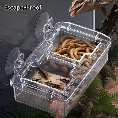 Escape Proof Reptile Feeding Dishes with Suction Cups, Plastic Anti-Escape Mealworms Bug Food Bowl for Lizard Leopard Gecko Chameleon Terrarium Tank Accessories in Saudi Arabia