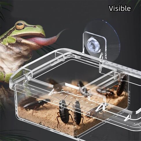 Escape Proof Reptile Feeding Dishes with Suction Cups, Plastic Anti-Escape Mealworms Bug Food Bowl for Lizard Leopard Gecko Chameleon Terrarium Tank Accessories in Saudi Arabia