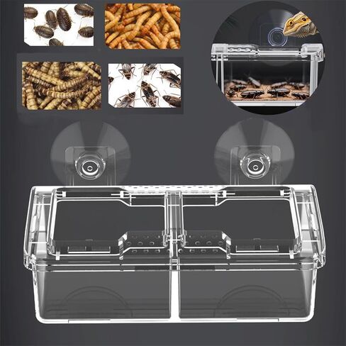 Escape Proof Reptile Feeding Dishes with Suction Cups, Plastic Anti-Escape Mealworms Bug Food Bowl for Lizard Leopard Gecko Chameleon Terrarium Tank Accessories in Saudi Arabia