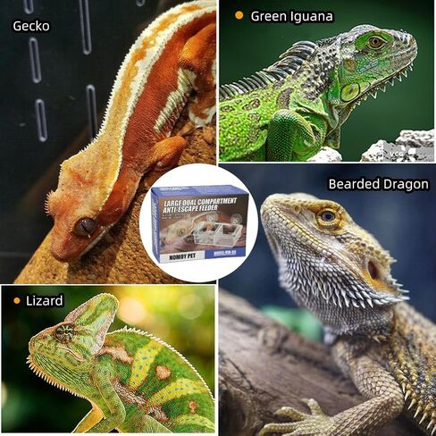 Escape Proof Reptile Feeding Dishes with Suction Cups, Plastic Anti-Escape Mealworms Bug Food Bowl for Lizard Leopard Gecko Chameleon Terrarium Tank Accessories in Saudi Arabia