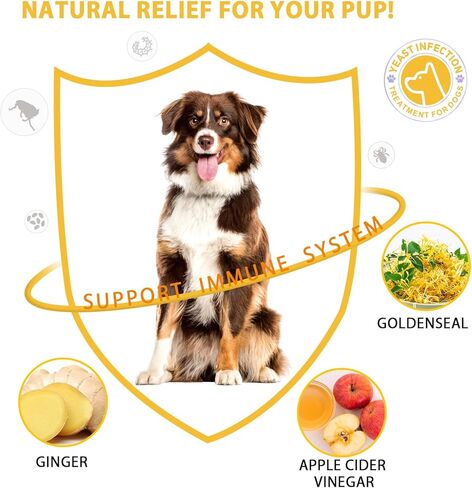 علاج عدوى الخميرة للكلاب - قطرات طبيعية لعدوى أذن الكلاب لتخفيف الحكة والحساسية، وتلطيف التهاب الجلد، وعلاج عدوى خميرة الكلاب لجميع السلالات والأحجام، 2 أونصة سائلة in Kuwait