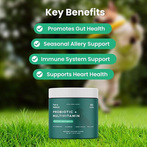 Dog Probiotic and Multivitamin Chews in Saudi Arabia