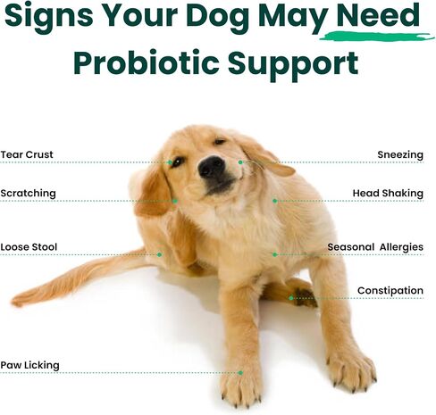 Dog Probiotic and Multivitamin Chews in Saudi Arabia