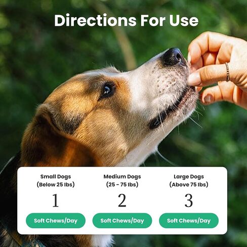 Dog Probiotic and Multivitamin Chews in Saudi Arabia