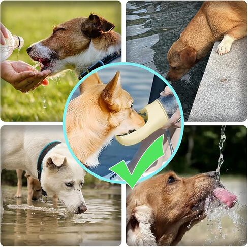زجاجة مياه محمولة للكلاب، 12 أونصة، موزع مياه للحيوانات الأليفة أثناء السفر مانع للتسرب، أزرق مخضر، موزع مياه للجرو مع وحدة تغذية للشرب للسفر (أزرق، صغير) in Saudi Arabia