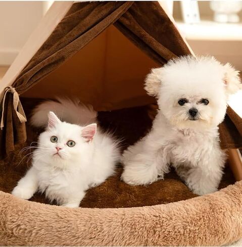Cat Tent Bed Dog House with Thick Cushion, Winter Warm Pet Teepee Tent House for Cats & Small Dogs (Brown, L (23.6x23.6 inch)) in Saudi Arabia