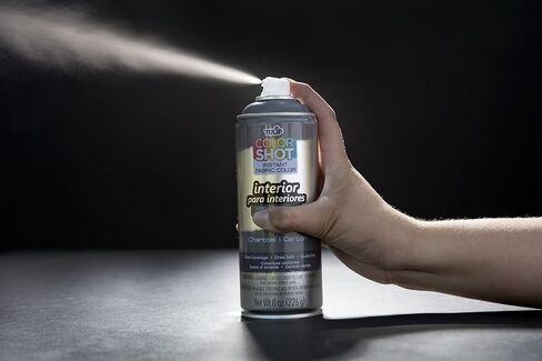 Tulip ColorShot Instant Fabric Color Interior Upholstery Spray 8 oz - Stone in Saudi Arabia