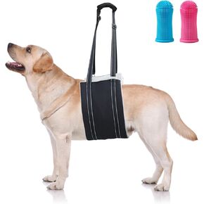 كلب كبير قابل للتعديل رفع تسخير حبال رفع الدعم للأرجل الخلفية الضعيفة دعم الساق الخلفية الناعمة للكلاب المصابة الكبيرة Sling-L + فرشاة أسنان الحيوانات الأليفة in Kuwait