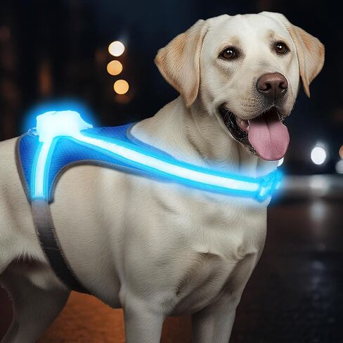 Light Up Dog Harness, Reflective Adjustable Dog Vest, No Pull Illuminated LED Harness for Dogs Night Walking Hiking Running, Waterproof,Lightweight(Large, Blue) in Saudi Arabia