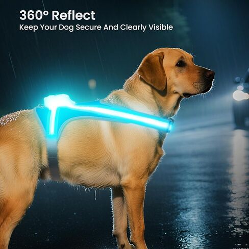 Light Up Dog Harness, Reflective Adjustable Dog Vest, No Pull Illuminated LED Harness for Dogs Night Walking Hiking Running, Waterproof,Lightweight(Large, Blue) in Saudi Arabia