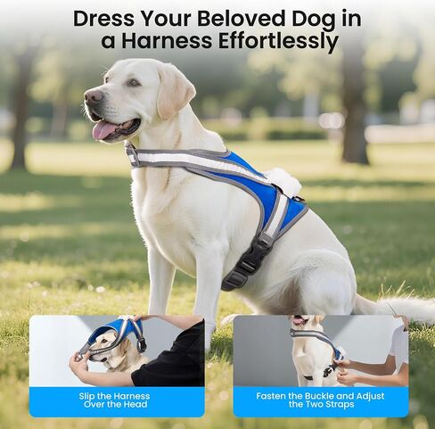 Light Up Dog Harness, Reflective Adjustable Dog Vest, No Pull Illuminated LED Harness for Dogs Night Walking Hiking Running, Waterproof,Lightweight(Large, Blue) in Saudi Arabia