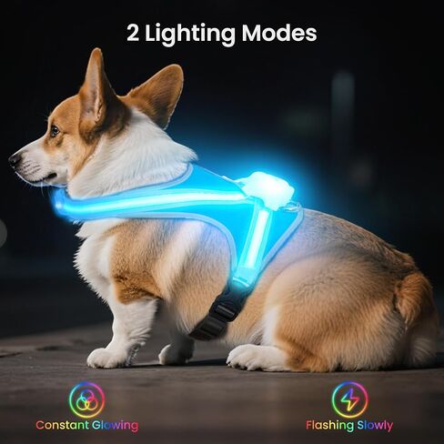 Light Up Dog Harness, Reflective Adjustable Dog Vest, No Pull Illuminated LED Harness for Dogs Night Walking Hiking Running, Waterproof,Lightweight(Large, Blue) in Saudi Arabia