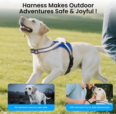 Light Up Dog Harness, Reflective Adjustable Dog Vest, No Pull Illuminated LED Harness for Dogs Night Walking Hiking Running, Waterproof,Lightweight(Large, Blue) in Saudi Arabia