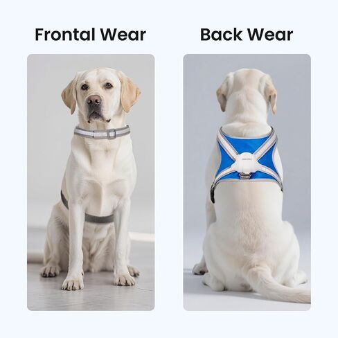 Light Up Dog Harness, Reflective Adjustable Dog Vest, No Pull Illuminated LED Harness for Dogs Night Walking Hiking Running, Waterproof,Lightweight(Large, Blue) in Saudi Arabia