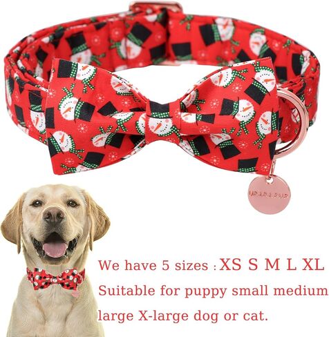 مقود الكلب الصيفي مطابق لطوق الكلب، مقود الكلب القطني الخوخي المتين والمتين، مقود تدريب الكلاب الصيفي للكلاب الصغيرة والمتوسطة والكبيرة، مقود الكلب الصيفي in Kuwait