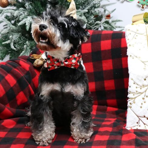 مقود الكلب الصيفي مطابق لطوق الكلب، مقود الكلب القطني الخوخي المتين والمتين، مقود تدريب الكلاب الصيفي للكلاب الصغيرة والمتوسطة والكبيرة، مقود الكلب الصيفي in Kuwait