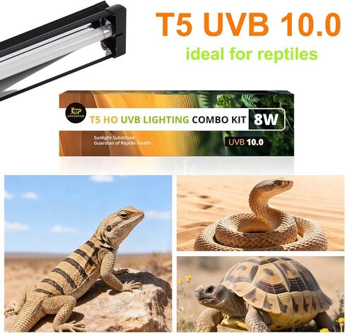 ضوء T5 UVB للزواحف، 10.0 8W HO UVA UVB للزواحف، أنبوب مصباح 12 بوصة للتنين الملتحي والسلحفاة والسحالي والزواحف والبرمائيات in Kuwait