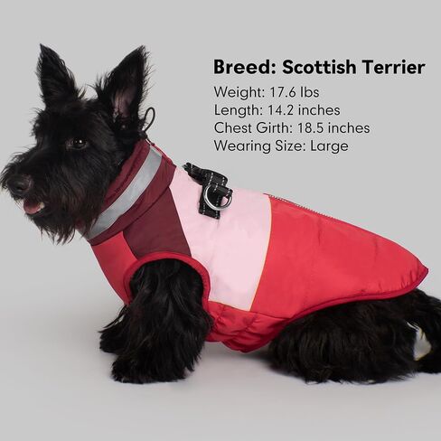 azuza Dog Jacket for Small Dogs Waterproof Dog Coat with Reflective Strips and Harness Built in Warm Fleece Dogs Winter Coat Windproof with Back Zipper, Red M in Kuwait
