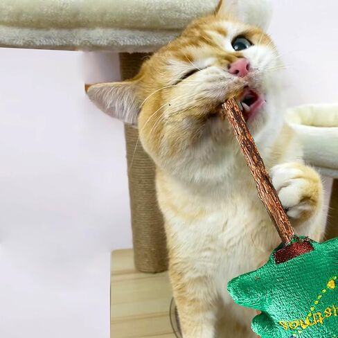 3 قطع من أعواد سيلفرفين، أعواد مضغ للقطط - ألعاب التسنين للقطط الصغيرة، ألعاب وهدايا عيد الميلاد للقطط in Kuwait