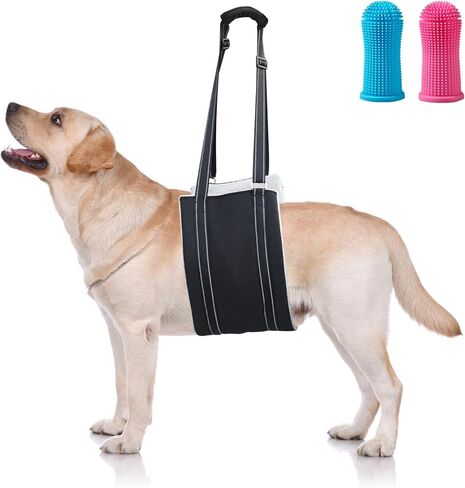 كلب كبير قابل للتعديل رفع تسخير حبال رفع الدعم للأرجل الخلفية الضعيفة دعم الساق الخلفية الناعمة للكلاب المصابة الكبيرة Sling-L + فرشاة أسنان الحيوانات الأليفة in Kuwait